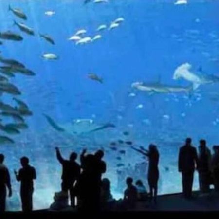 Appartamento L'Amazonia : Face A La Basilique Parking Gratuit Boulogne-sur-Mer Esterno foto
